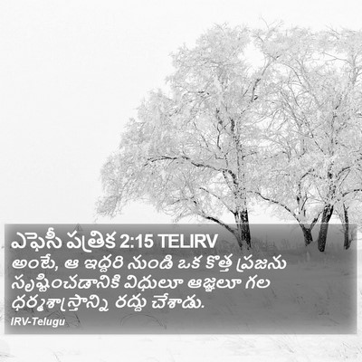 ఎఫెసీ పత్రిక 2:15 TELIRV Bible Verse Image