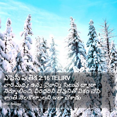 ఎఫెసీ పత్రిక 2:16 TELIRV Bible Verse Image