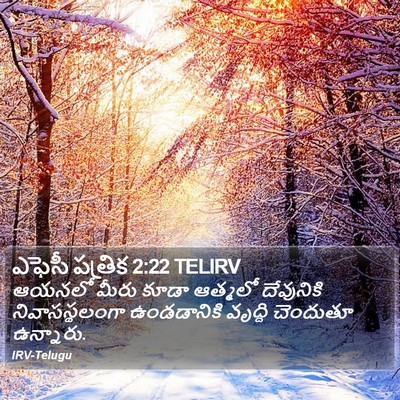 ఎఫెసీ పత్రిక 2:22 TELIRV Bible Verse Image