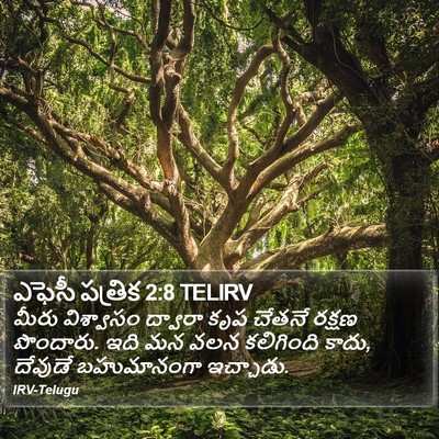 ఎఫెసీ పత్రిక 2:8 TELIRV Bible Verse Image