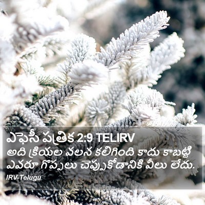 ఎఫెసీ పత్రిక 2:9 TELIRV Bible Verse Image