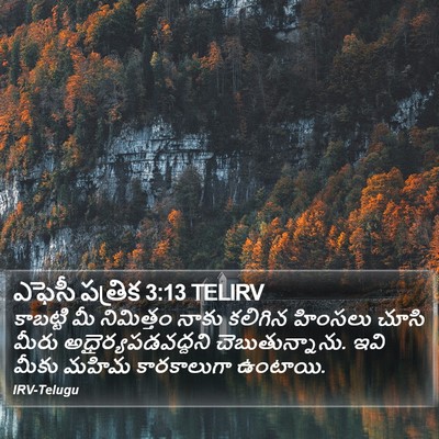 ఎఫెసీ పత్రిక 3:13 TELIRV Bible Verse Image