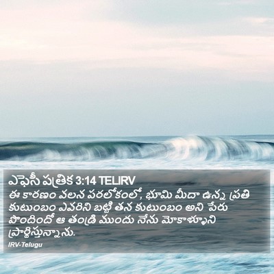 ఎఫెసీ పత్రిక 3:14 TELIRV Bible Verse Image