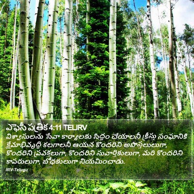 ఎఫెసీ పత్రిక 4:11 TELIRV Bible Verse Image