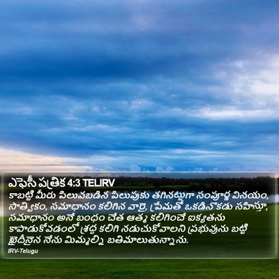 ఎఫెసీ పత్రిక 4:3 TELIRV Bible Verse Image