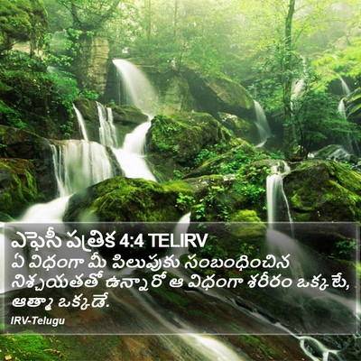 ఎఫెసీ పత్రిక 4:4 TELIRV Bible Verse Image