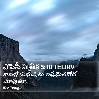 ఎఫెసీ పత్రిక 5:10 TELIRV Bible Verse Image