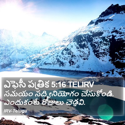 ఎఫెసీ పత్రిక 5:16 TELIRV Bible Verse Image