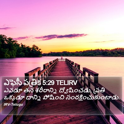 ఎఫెసీ పత్రిక 5:29 TELIRV Bible Verse Image