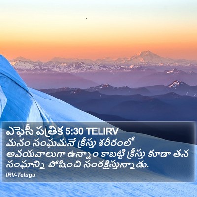 ఎఫెసీ పత్రిక 5:30 TELIRV Bible Verse Image