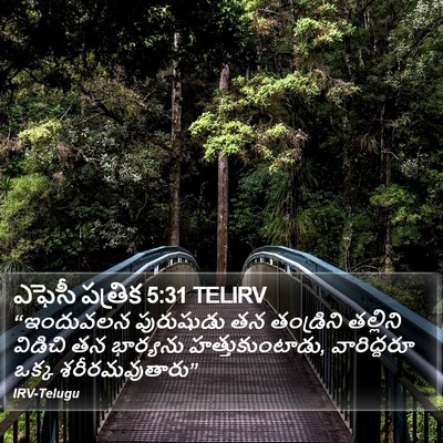 ఎఫెసీ పత్రిక 5:31 TELIRV Bible Verse Image