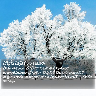 ఎఫెసీ పత్రిక 5:5 TELIRV Bible Verse Image