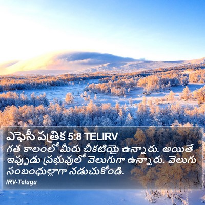 ఎఫెసీ పత్రిక 5:8 TELIRV Bible Verse Image