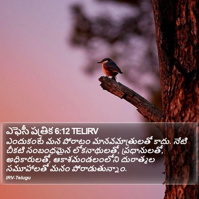 ఎఫెసీ పత్రిక 6:12 TELIRV Bible Verse Image
