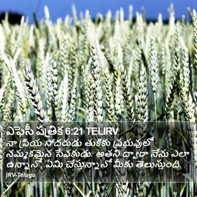 ఎఫెసీ పత్రిక 6:21 TELIRV Bible Verse Image