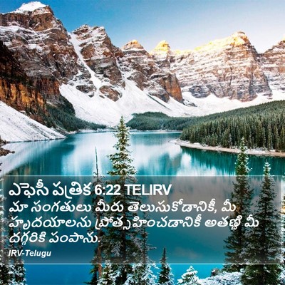 ఎఫెసీ పత్రిక 6:22 TELIRV Bible Verse Image