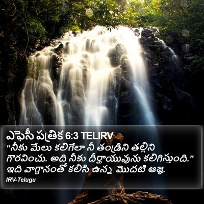 ఎఫెసీ పత్రిక 6:3 TELIRV Bible Verse Image