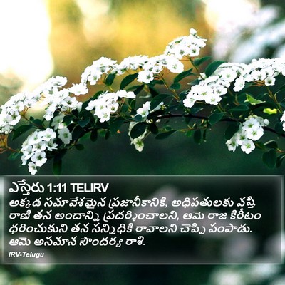 ఎస్తేరు 1:11 TELIRV Bible Verse Image