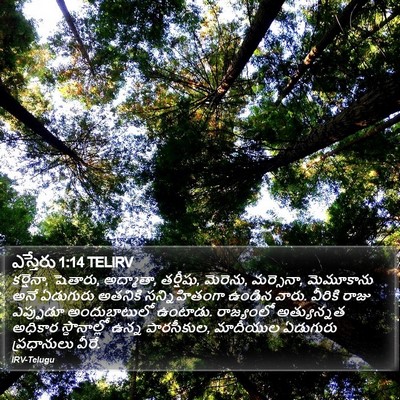 ఎస్తేరు 1:14 TELIRV Bible Verse Image