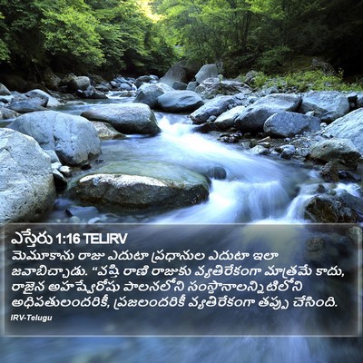 ఎస్తేరు 1:16 TELIRV Bible Verse Image