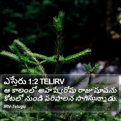 ఎస్తేరు 1:2 TELIRV Bible Verse Image