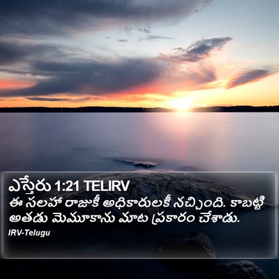 ఎస్తేరు 1:21 TELIRV Bible Verse Image