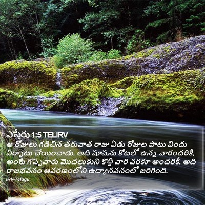 ఎస్తేరు 1:5 TELIRV Bible Verse Image