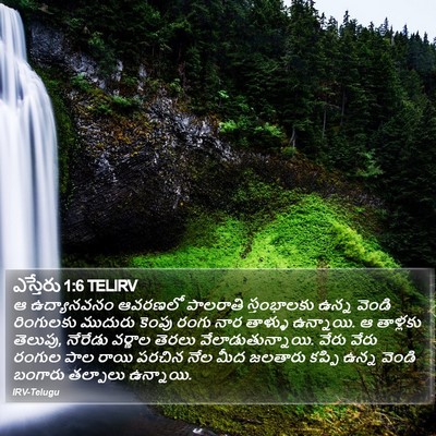 ఎస్తేరు 1:6 TELIRV Bible Verse Image