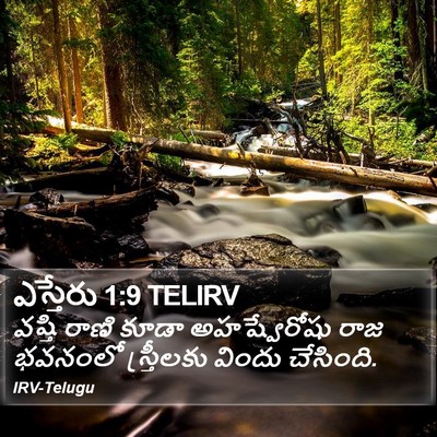 ఎస్తేరు 1:9 TELIRV Bible Verse Image