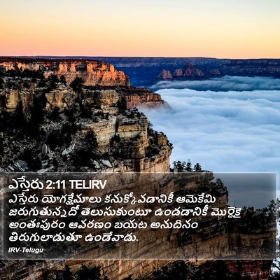 ఎస్తేరు 2:11 TELIRV Bible Verse Image