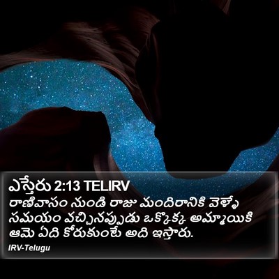 ఎస్తేరు 2:13 TELIRV Bible Verse Image