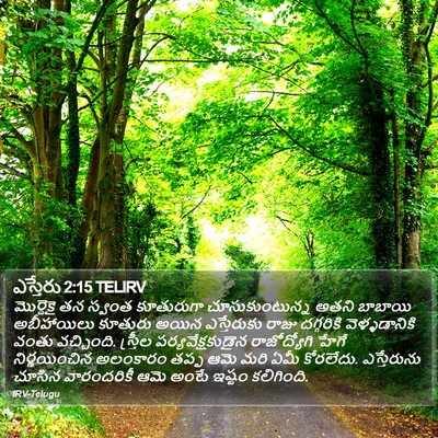ఎస్తేరు 2:15 TELIRV Bible Verse Image
