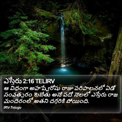 ఎస్తేరు 2:16 TELIRV Bible Verse Image