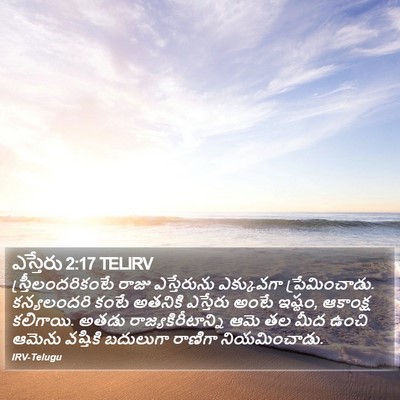 ఎస్తేరు 2:17 TELIRV Bible Verse Image