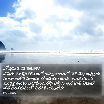 ఎస్తేరు 2:20 TELIRV Bible Verse Image
