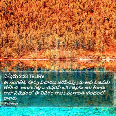 ఎస్తేరు 2:23 TELIRV Bible Verse Image