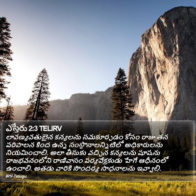 ఎస్తేరు 2:3 TELIRV Bible Verse Image