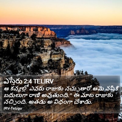 ఎస్తేరు 2:4 TELIRV Bible Verse Image
