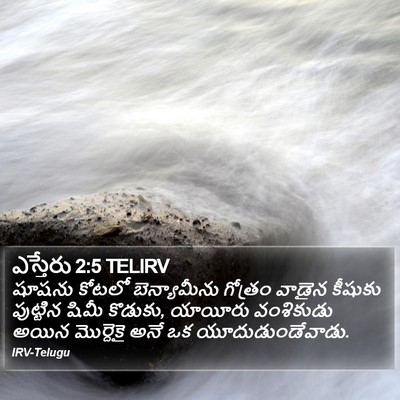 ఎస్తేరు 2:5 TELIRV Bible Verse Image