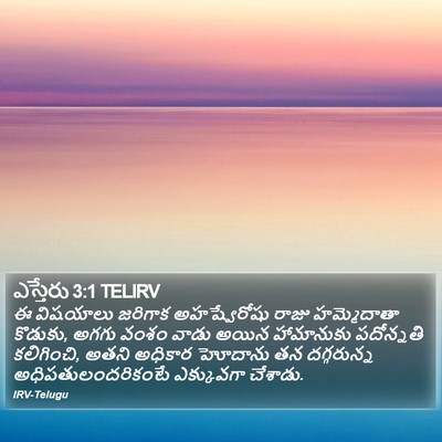 ఎస్తేరు 3:1 TELIRV Bible Verse Image