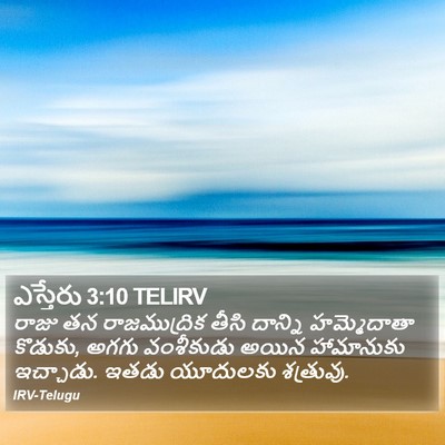 ఎస్తేరు 3:10 TELIRV Bible Verse Image