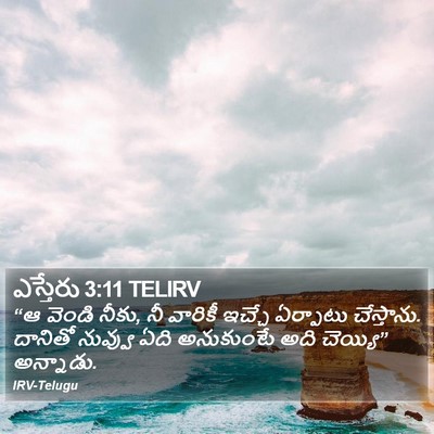ఎస్తేరు 3:11 TELIRV Bible Verse Image