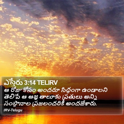 ఎస్తేరు 3:14 TELIRV Bible Verse Image