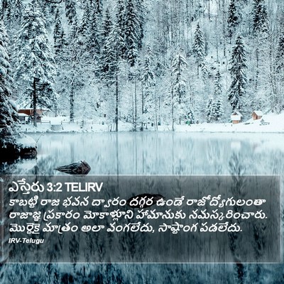 ఎస్తేరు 3:2 TELIRV Bible Verse Image