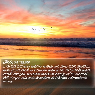 ఎస్తేరు 3:4 TELIRV Bible Verse Image