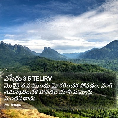 ఎస్తేరు 3:5 TELIRV Bible Verse Image