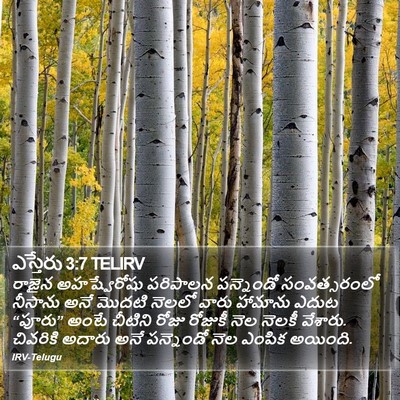 ఎస్తేరు 3:7 TELIRV Bible Verse Image