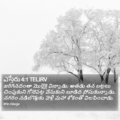 ఎస్తేరు 4:1 TELIRV Bible Verse Image