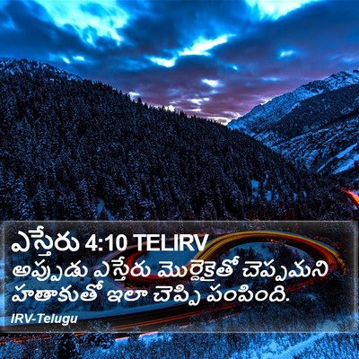 ఎస్తేరు 4:10 TELIRV Bible Verse Image