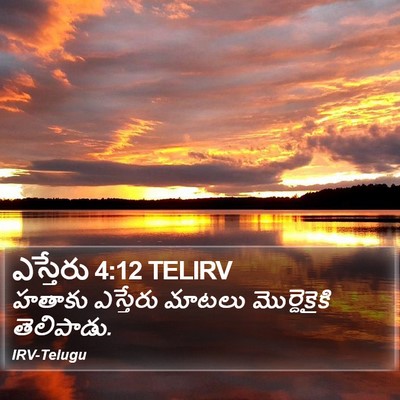 ఎస్తేరు 4:12 TELIRV Bible Verse Image